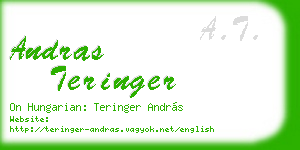 andras teringer business card